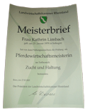 Meisterbrief Pferdewirtschaftsmeisterin